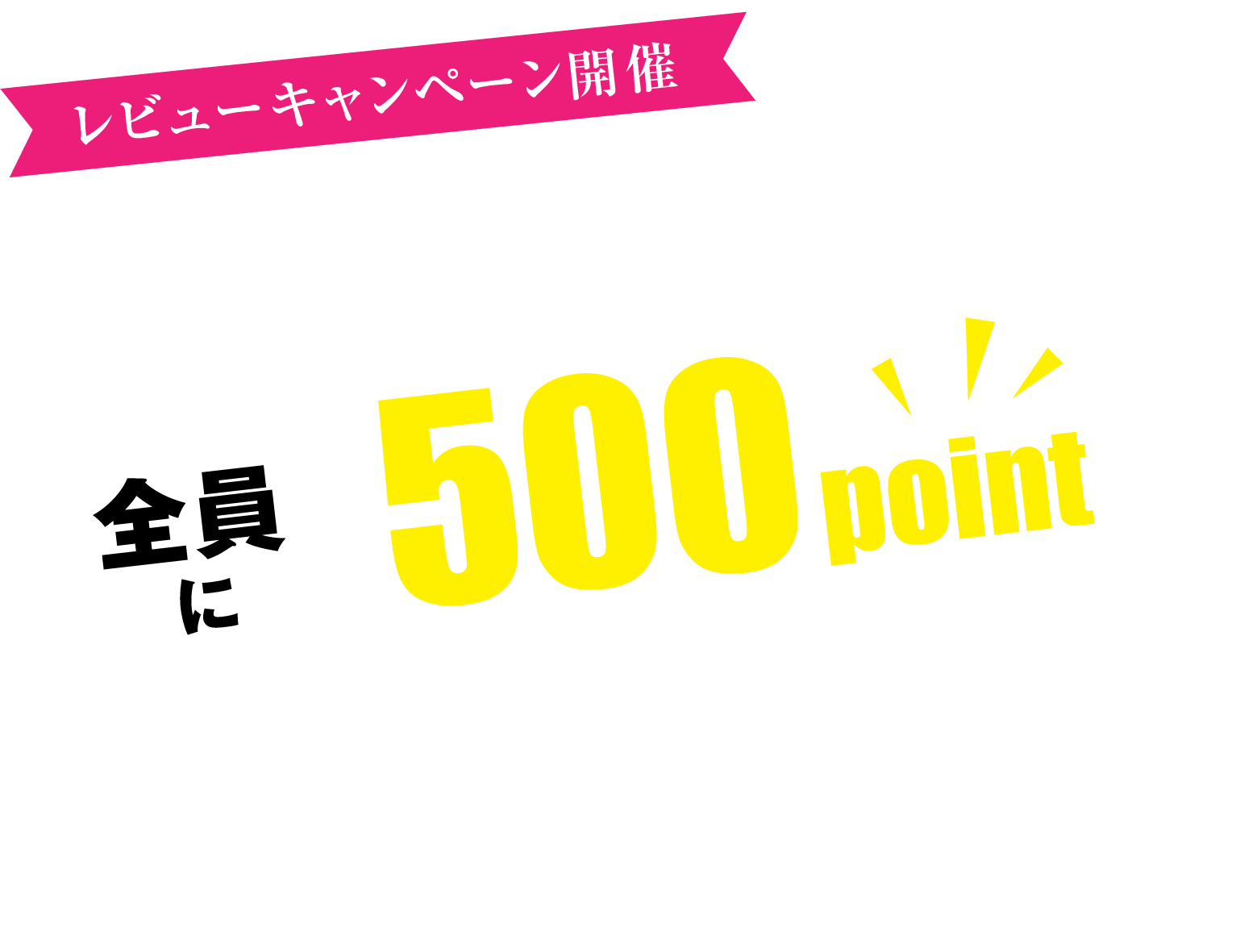 レビューを投稿して500ポイントプレゼント